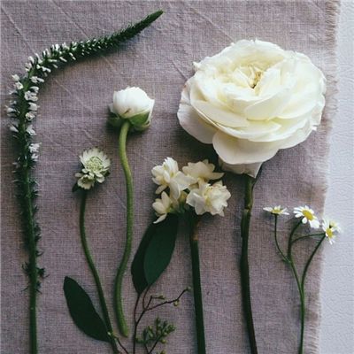 丰禾棋牌下载手机版